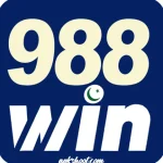 988.win