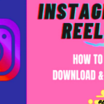 Instagram Video Downloader